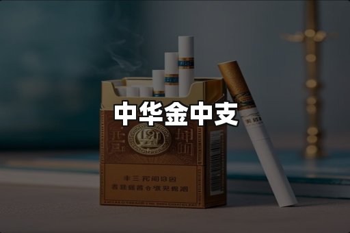中华金中支